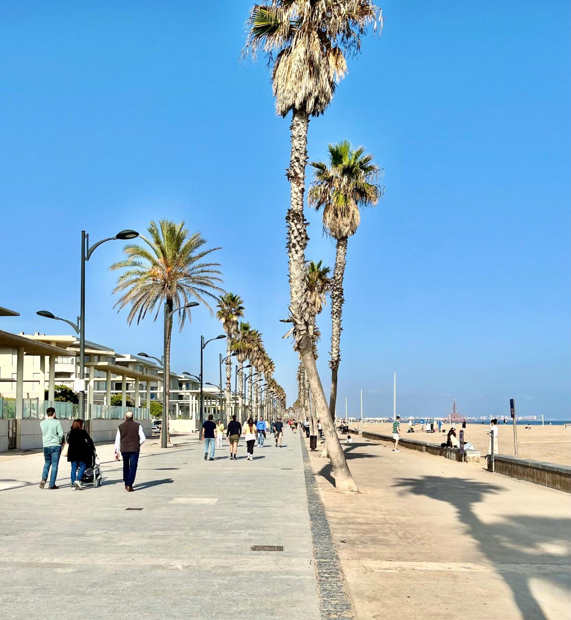 Valencia Beachfront Home 22 المظهر الخارجي الصورة